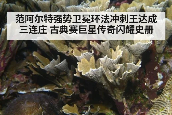 范阿尔特强势卫冕环法冲刺王达成三连庄 古典赛巨星传奇闪耀史册